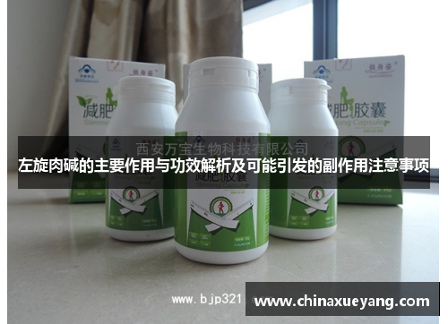左旋肉碱的主要作用与功效解析及可能引发的副作用注意事项 左旋肉碱的主要作用与功效解析及可能引发的副作用注意事项