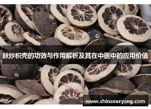 麸炒枳壳的功效与作用解析及其在中医中的应用价值 麸炒枳壳的功效与作用解析及其在中医中的应用价值