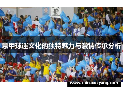 意甲球迷文化的独特魅力与激情传承分析